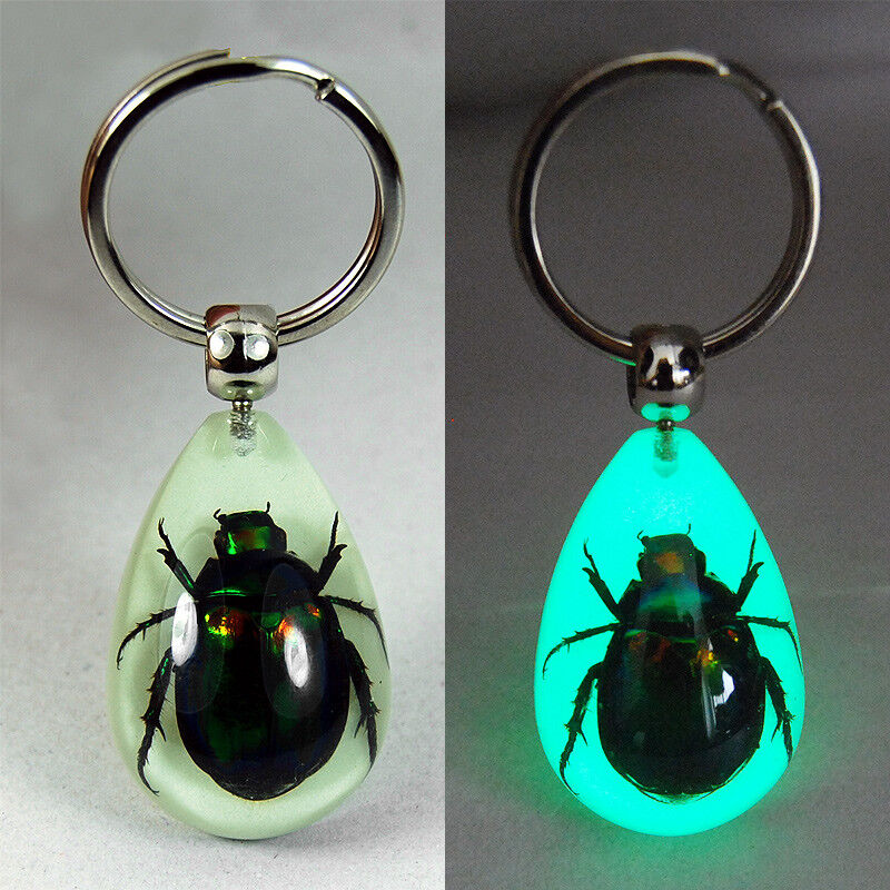 Real Green Beetle Glow Lucite Keyring Keychain Insect Jewelry Taxidermy Gift