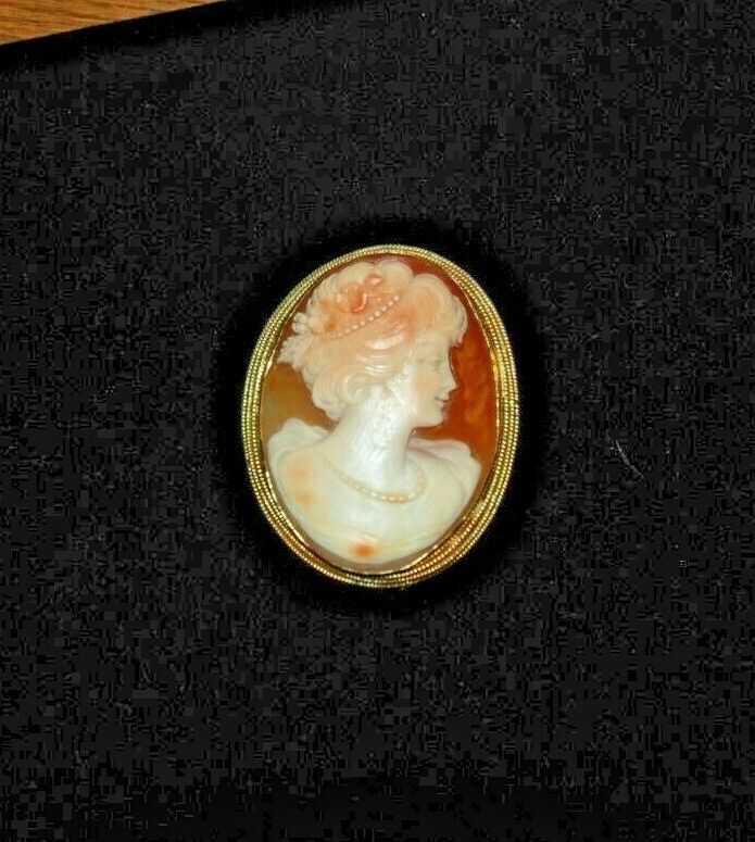 Lovely And A Standout     Antique Framed Cameo Pin       Great Detail
