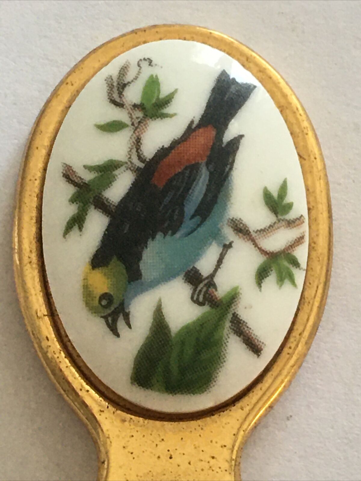 Vintage Souvenir Spoon Collectible Bird Tangara Chilensis